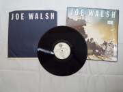 Joe Walsh You bought it you name it 1108 (2) (Copy)